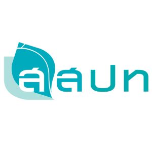 สสปท